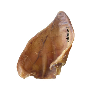 אוזן חזיר שלמה לכלב