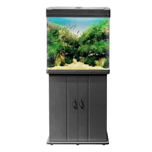 אקווריום 520 שחור