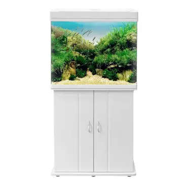 אקווריום לבן 60x49 1