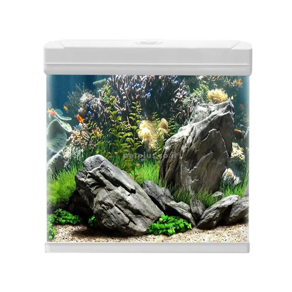 אקווריום CR 380 לבן