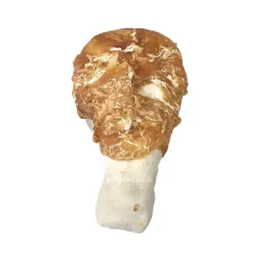 עצם רגל עוף