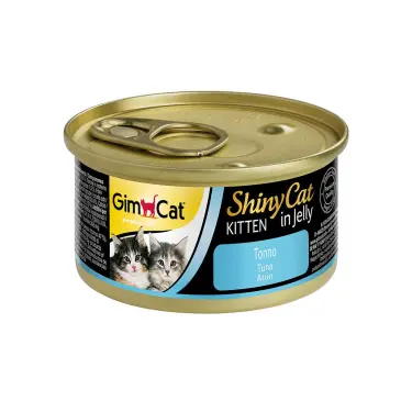 שייני קט טונה לחתלתולים