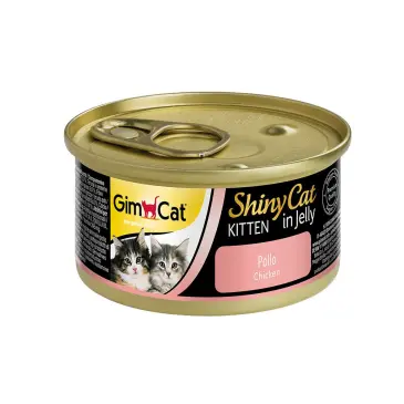 שייני קט עוף לחתלתולים