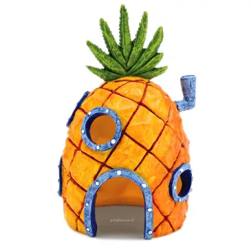 בית בוב ספוג אננס דקורציה