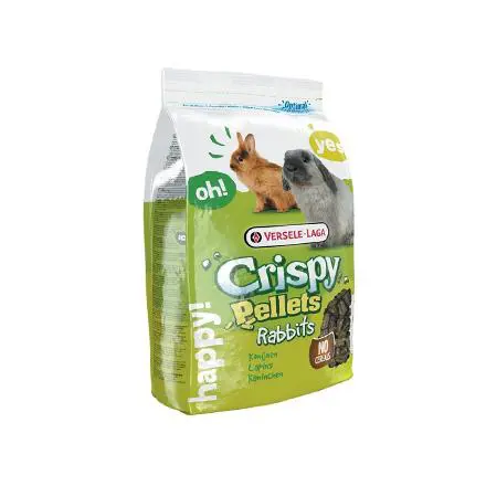 מזון למכרסמים