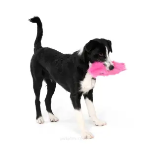 בובה לכלבים ווסט פאו