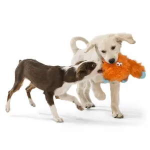 כלבים משחקים בובה גפרסון לכלב