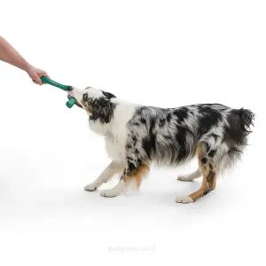 משחק לכלב צעצוע נשיכה