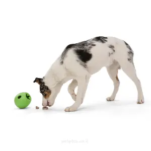 צעצוע לכלב ווסט פאו רמבל 3