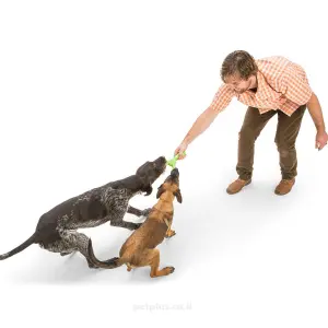 צעצוע משיכה סקאמפ ווסט פוו