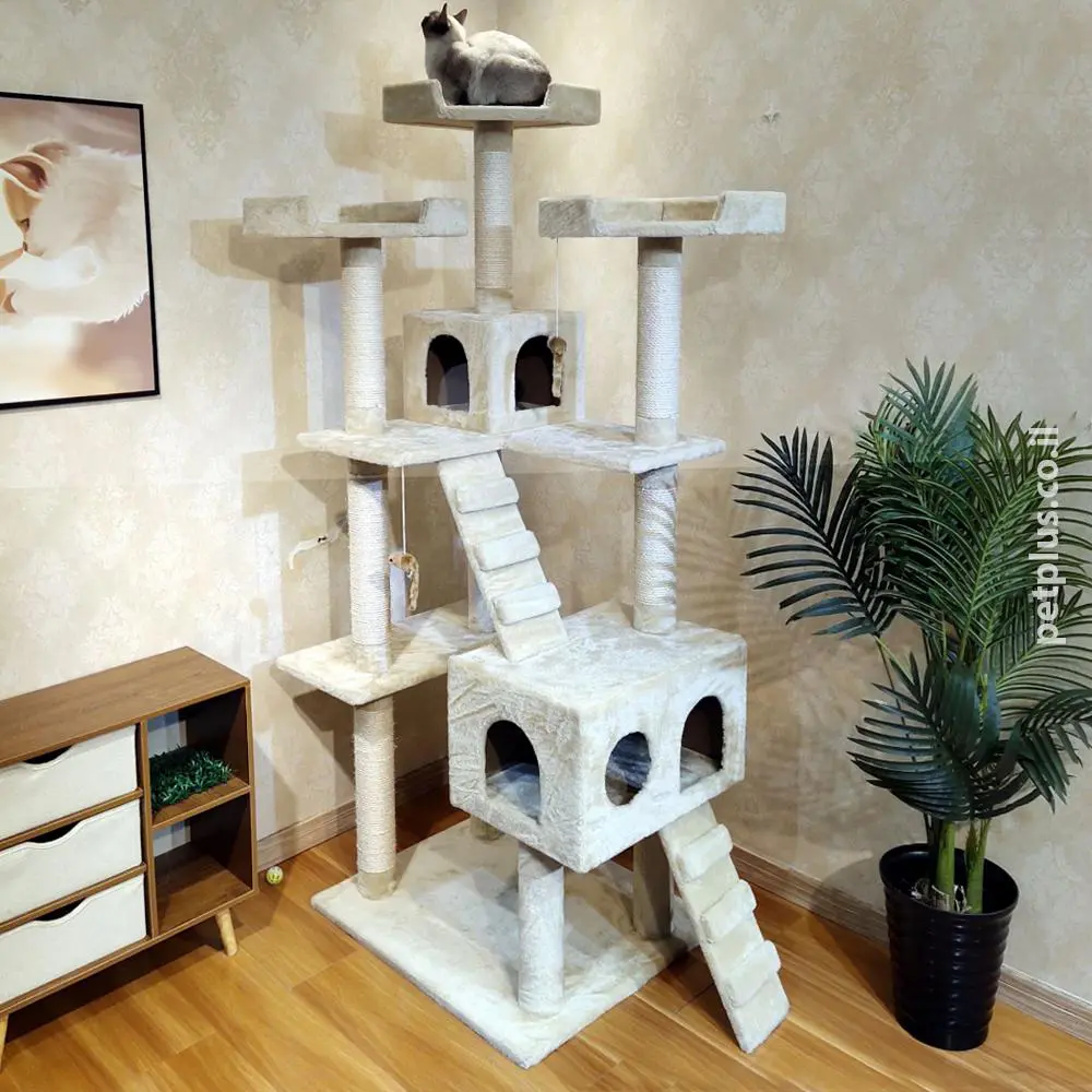 מתקן גירוד RN0143 בז לחתול