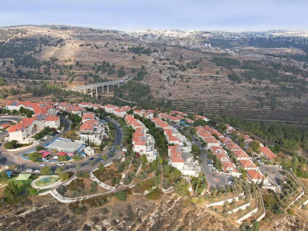 במבשרת ציון הרבה חנויות חיות