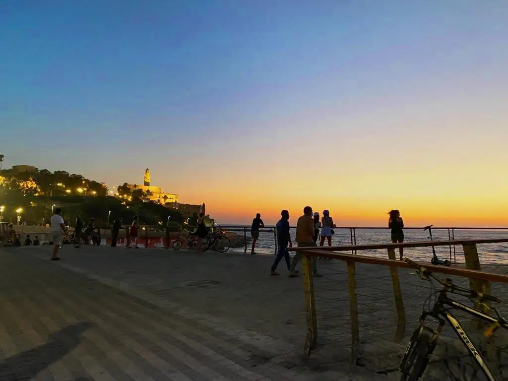 טיילת תל אביב מותר להביא כלבים