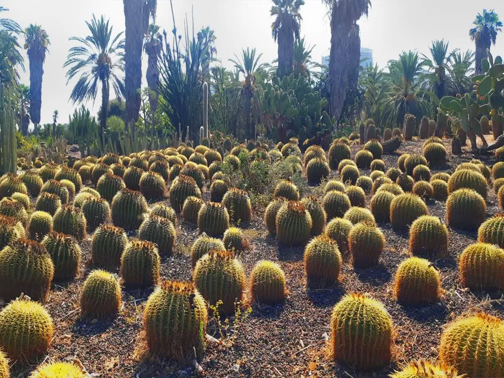 פארק גני יהושוע בתל אביב