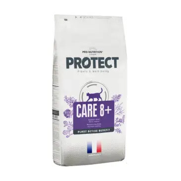 פרוטקט חתול מבוגר