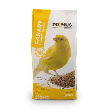 פרימוס כנרים