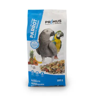 פרימוס תוכי גדול