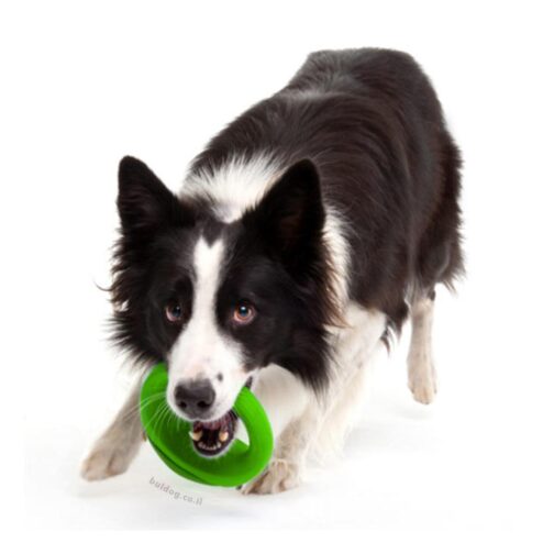כלב עם צעצוע ROGZ ירוק