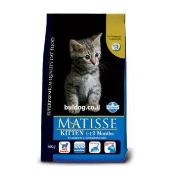 מאטיס לגורי חתול