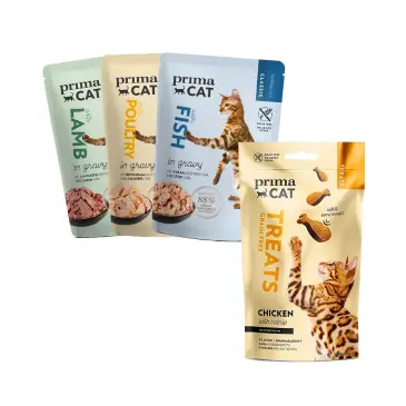 מארז פינוקים לחתול