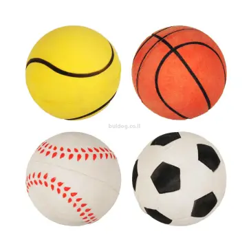 4 כדורי ספורט לכלב