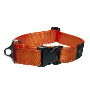 קולר רוגז XXL כתום