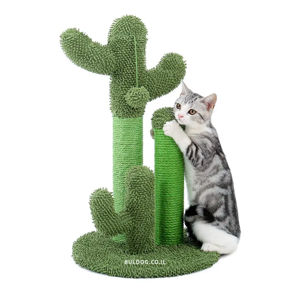 RN0213 מתקן גירוד קקטוס