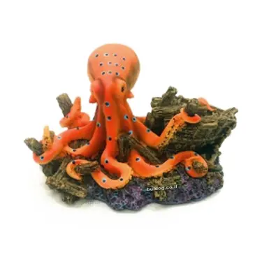 דקורציה תמנון