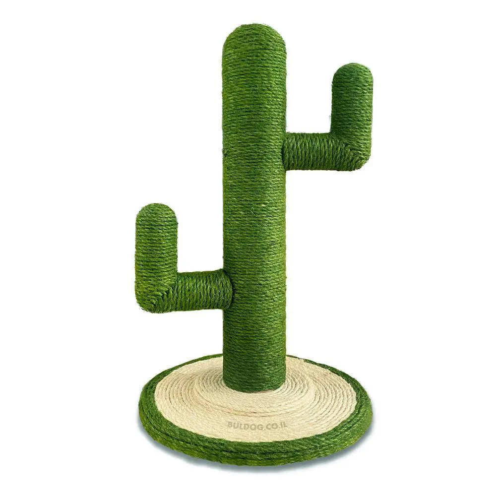 קקטוס ירוק מתקן גירוד