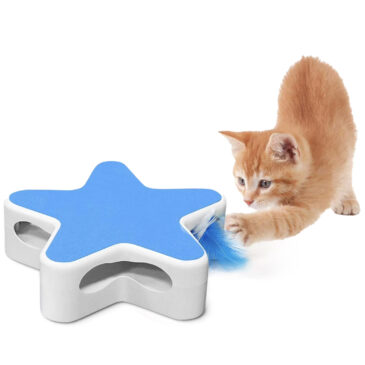 צעצוע אינטרקטיבי כוכב