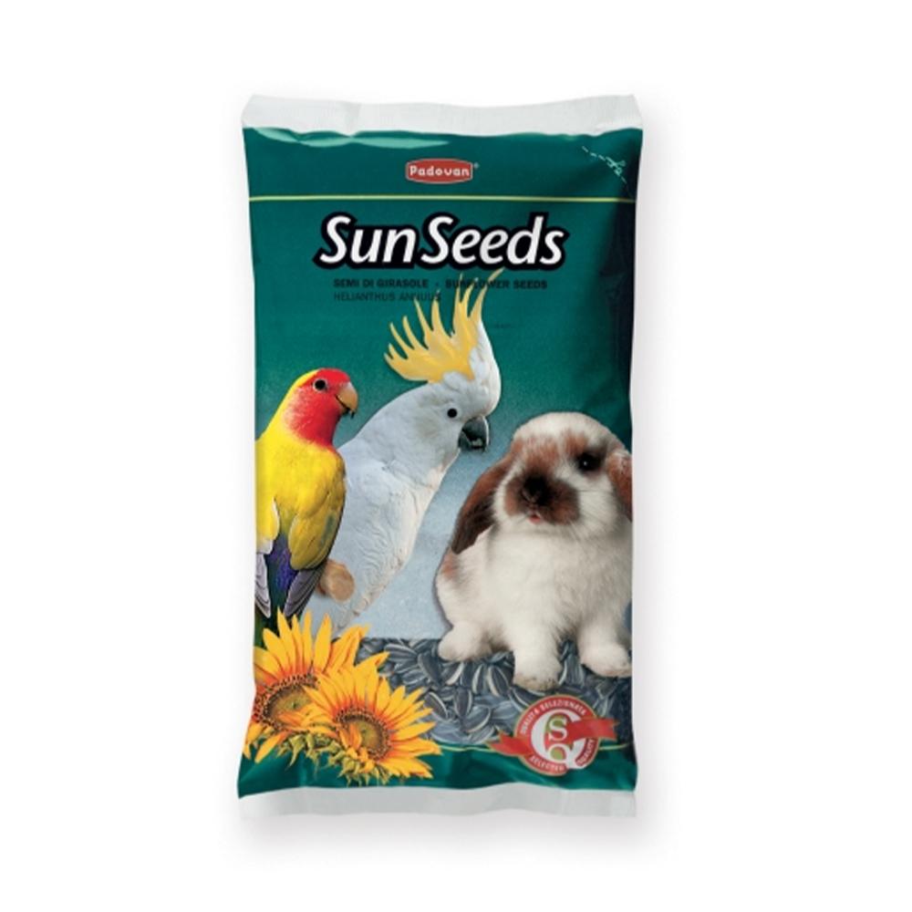 פאדובן גרעיני חמינה