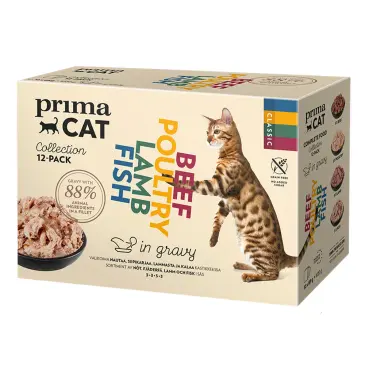 פרימה קט מארז 12