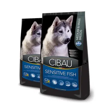 דיל 2 סיבאו דגים