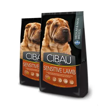 דיל 2 סיבאו כבש