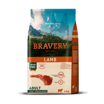 ברייברי בוגר כבש