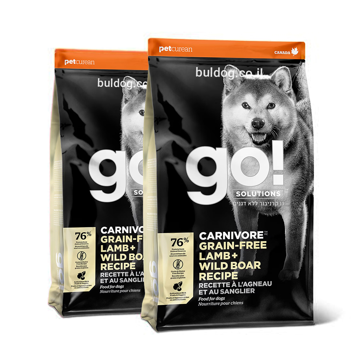 גו קרניבור חזיר וכבש
