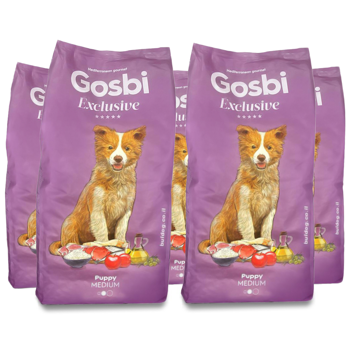 דיל 5 גוסבי גורים