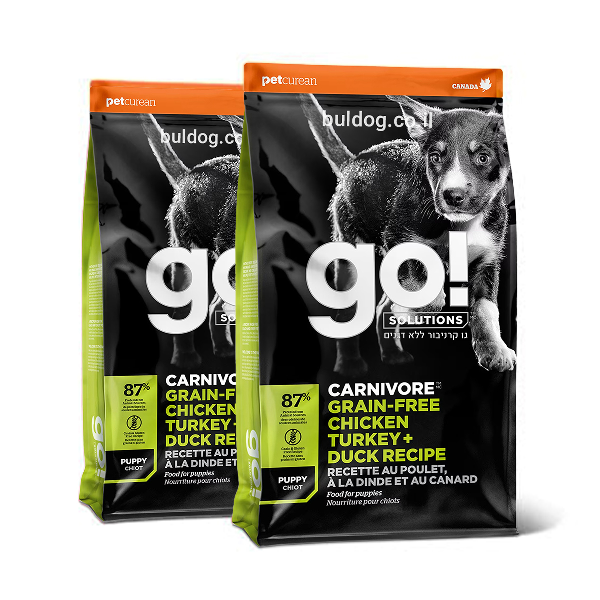 דיל גו קרניבור גורים