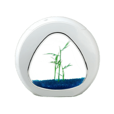 אקווריום קטן (עד 50 ס"מ)