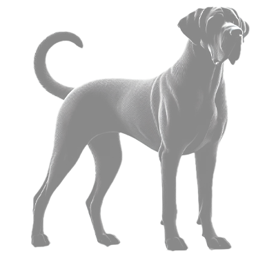 אוכל לבוגר מגזע ענק