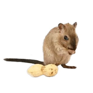 מוצרים לאוגר