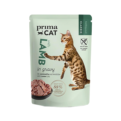 פאוצ'ים לחתולים