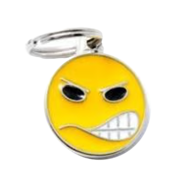 תג שם לחתול צ'ארם