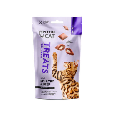 חטיף לחתול במתנה חבילת פינוקים