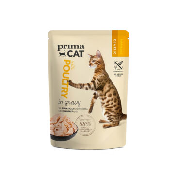 פאוץ לחתול חבילת פינוקים