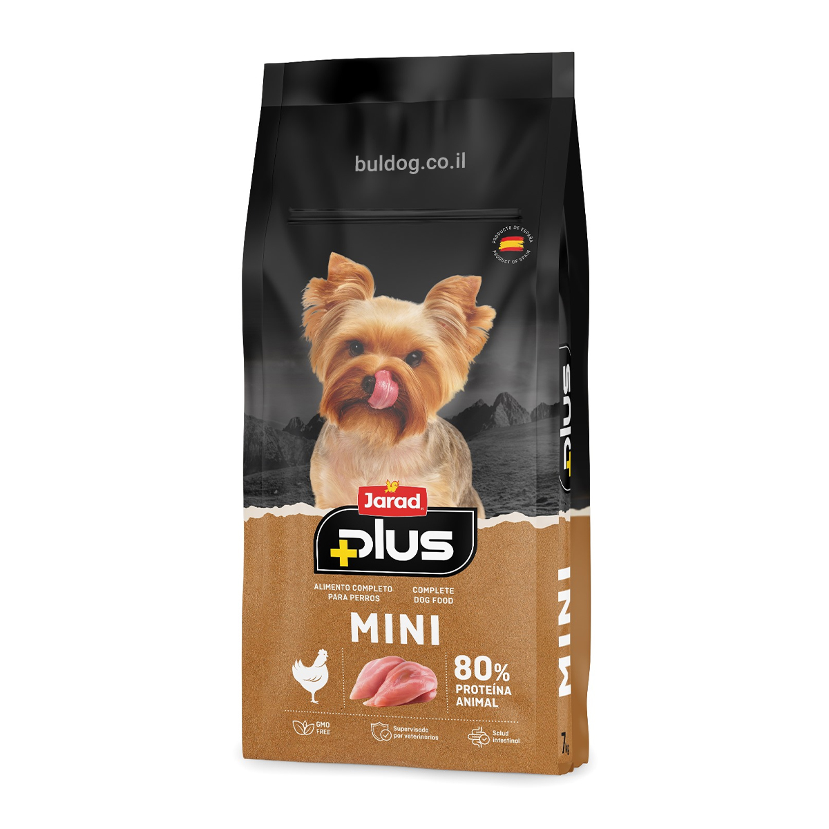 ג׳ראד בוגר מיני