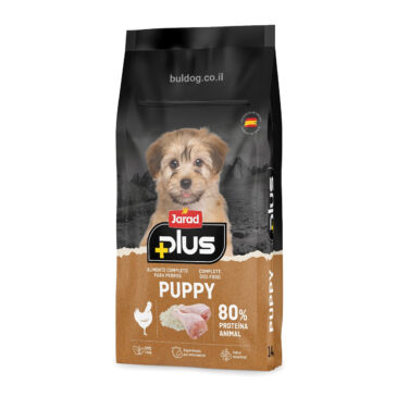 ג׳ראד גורים