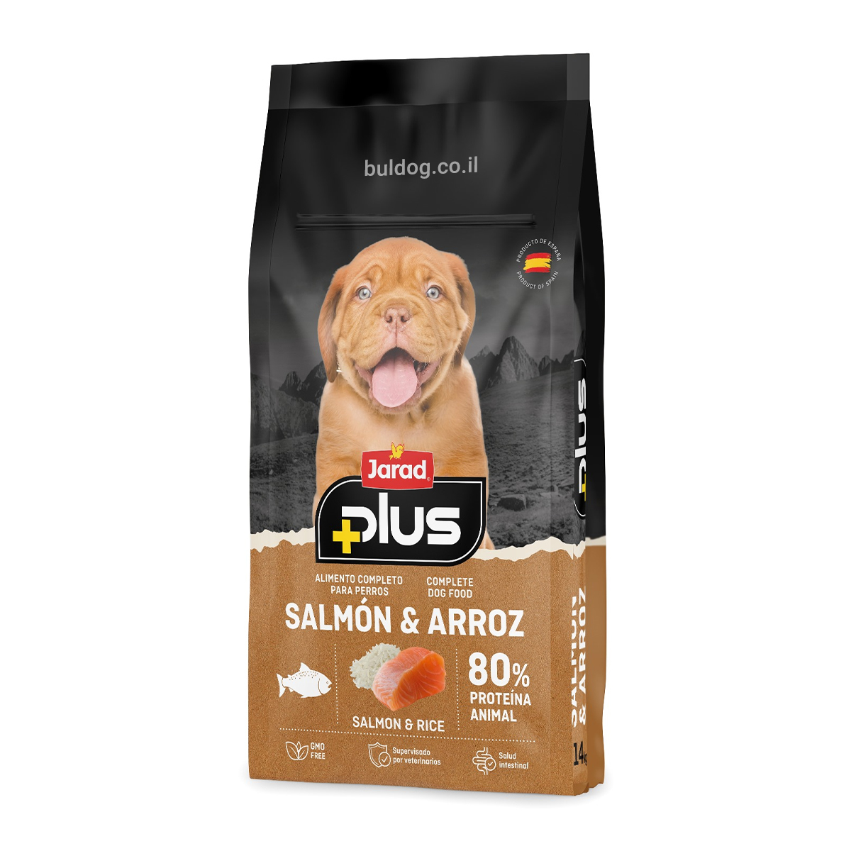 ג׳ראד סלמון