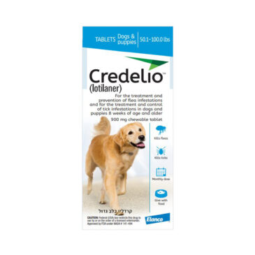 קרדילו כלב גדול כחול