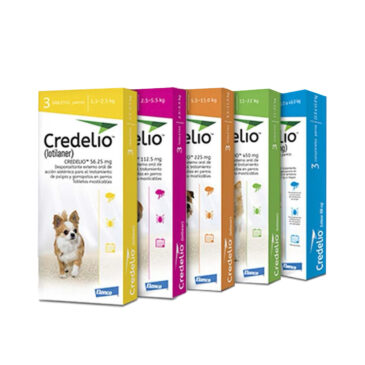 קרדיליו לכלב